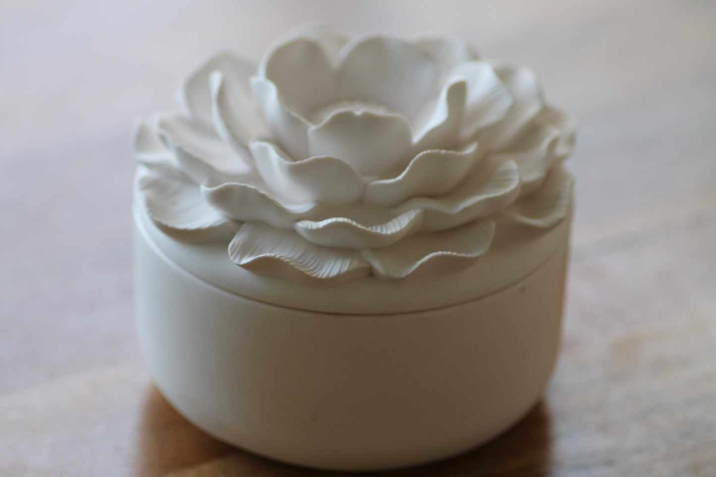 Gardenia