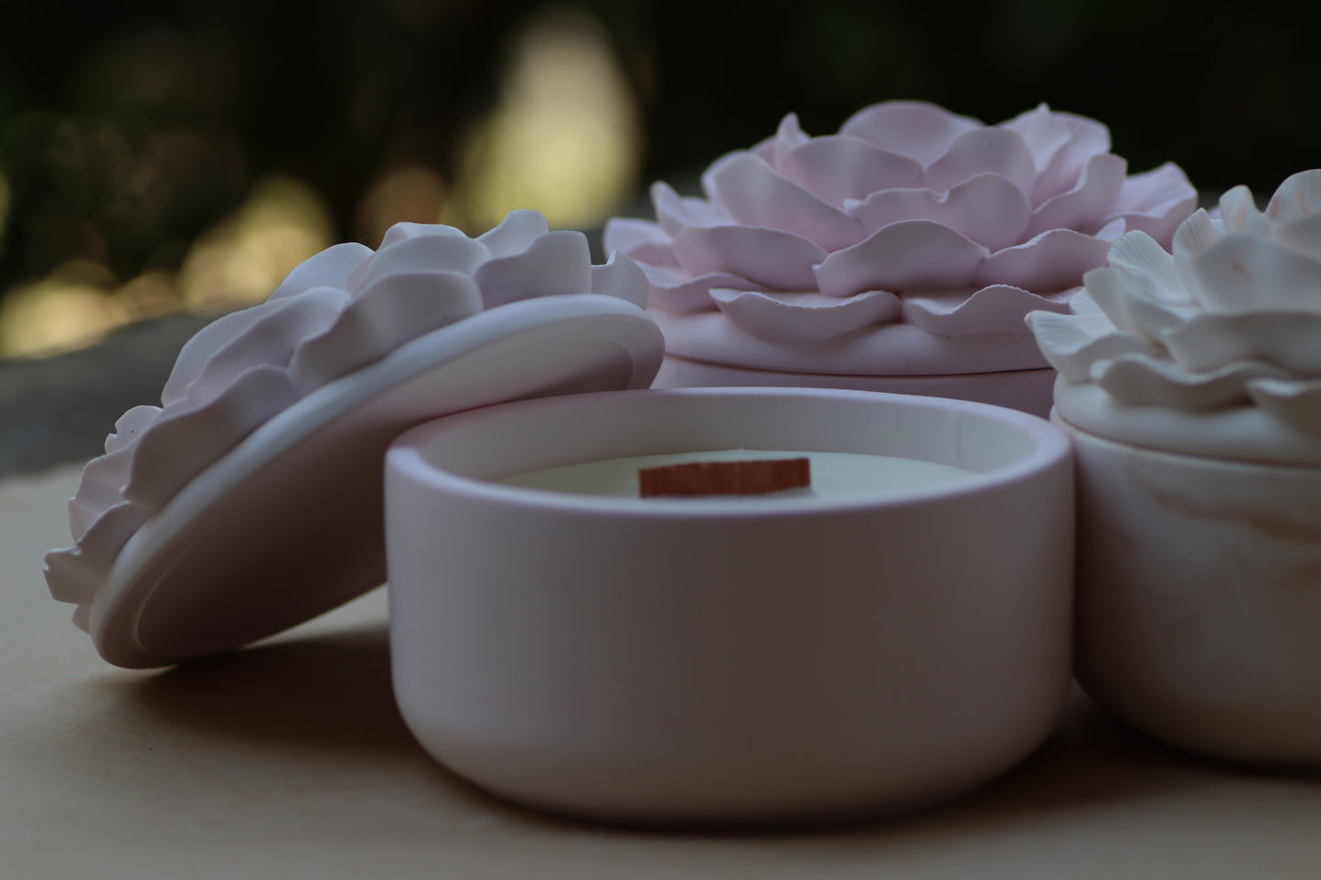 Gardenia